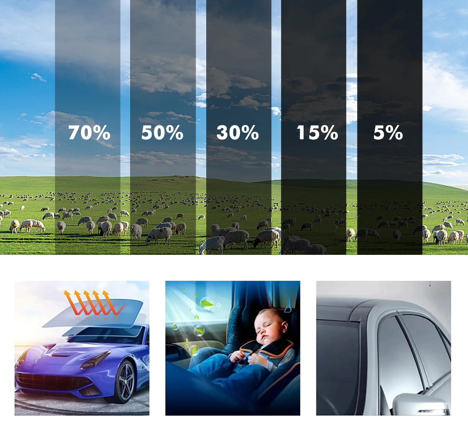 50cmx3m Car Window Privacy Tin - مراجعة Privacy Screen Protector وسعره
